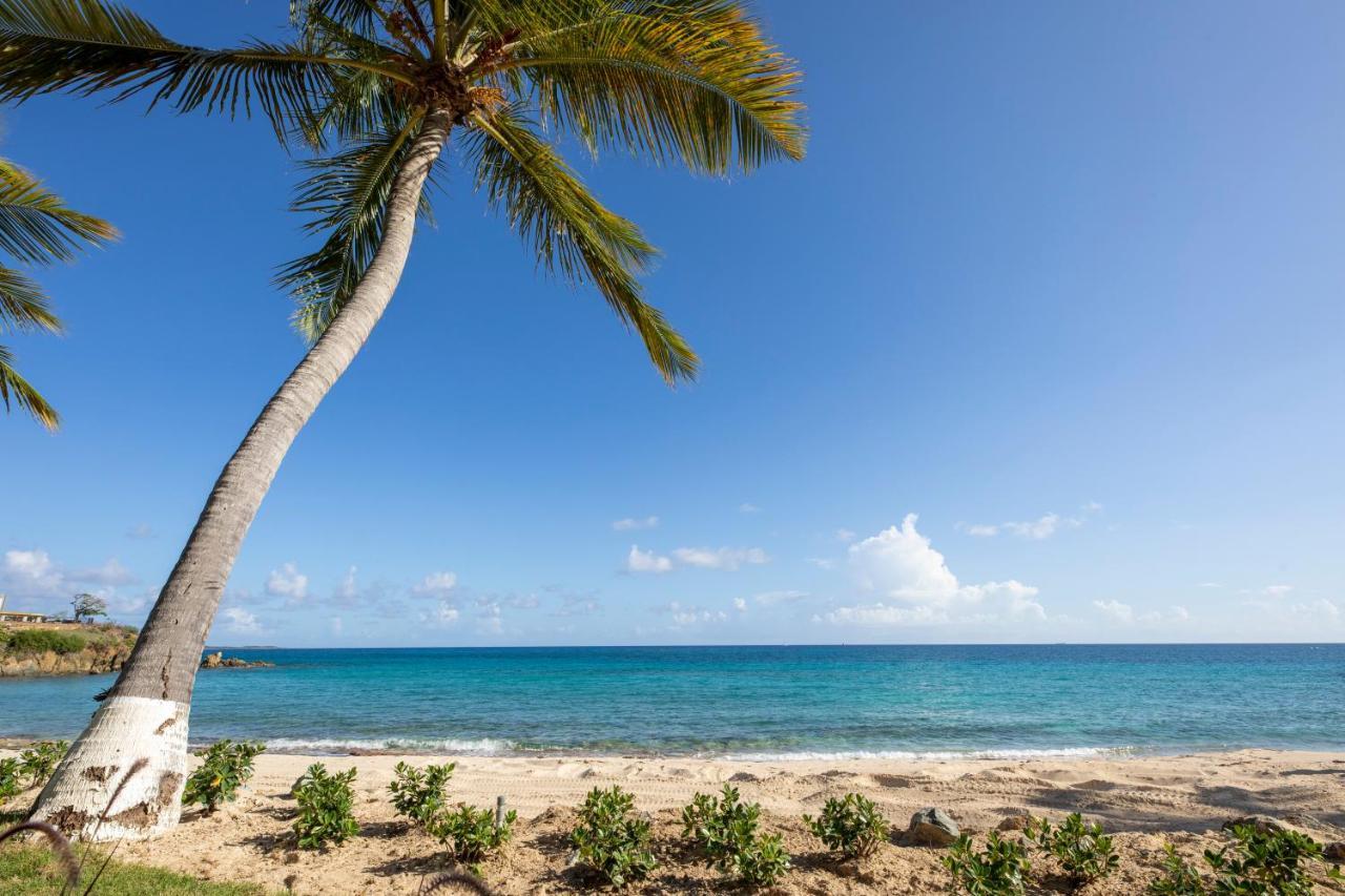 Limetree Beach Resort By Club Wyndham Bolongo Esterno foto